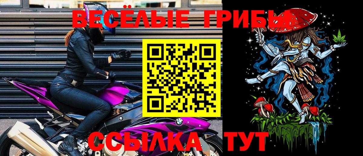 Псилоцибиновые грибы прущие грибы Ефремов