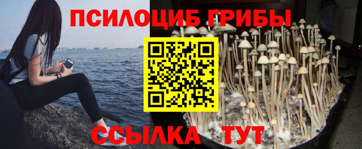 Галлюциногенные грибы Psilocybe  Вход с VPN  Псилоцибиновые грибы Psilocybine cubensis  Ефремов 
